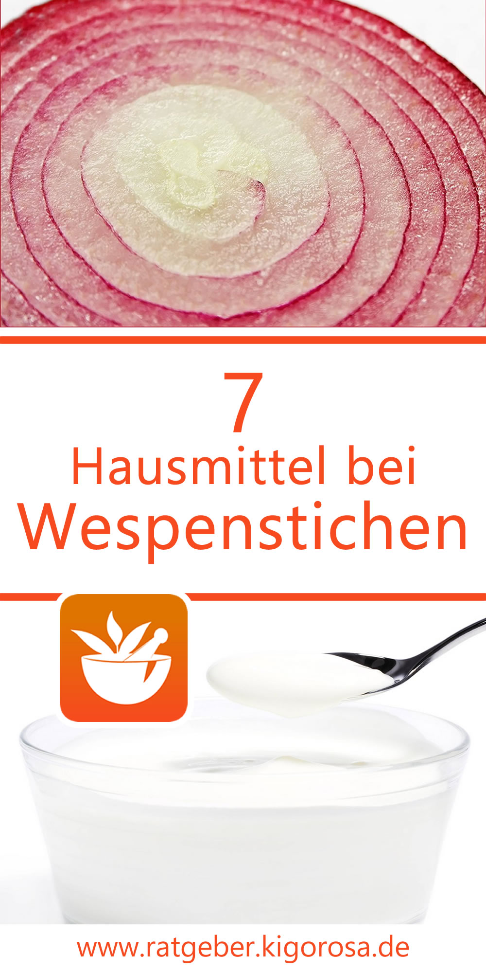 7 Hausmittel gegen Wespenstiche