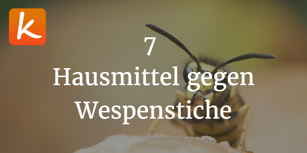 7 Hausmittel gegen Wespenstiche