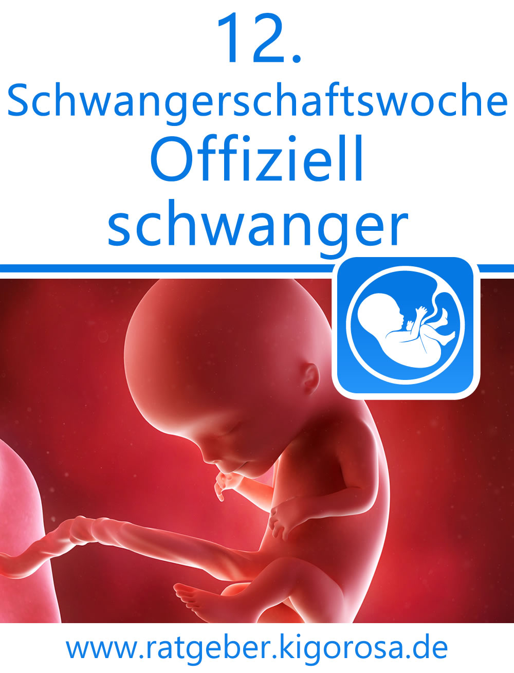 12. Schwangerschaftswoche Offiziell schwanger