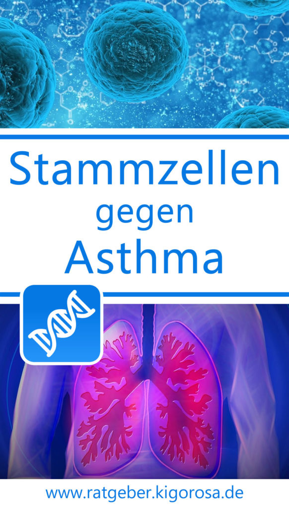 Stammzellforschung gegen Asthma