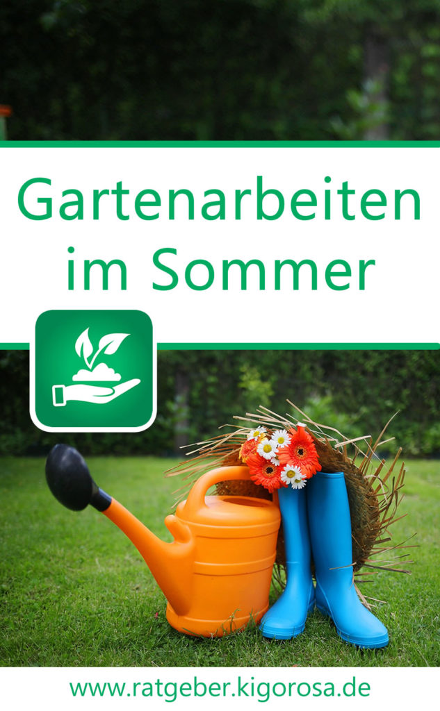 Beetpflege im Sommer